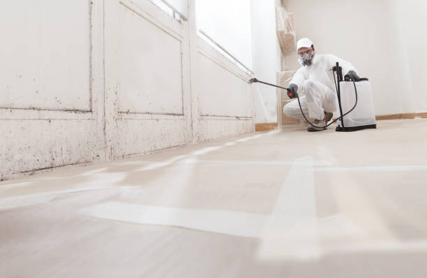 24/7 Emergency Attic Mold Remediation experts in Willingboro, NJ